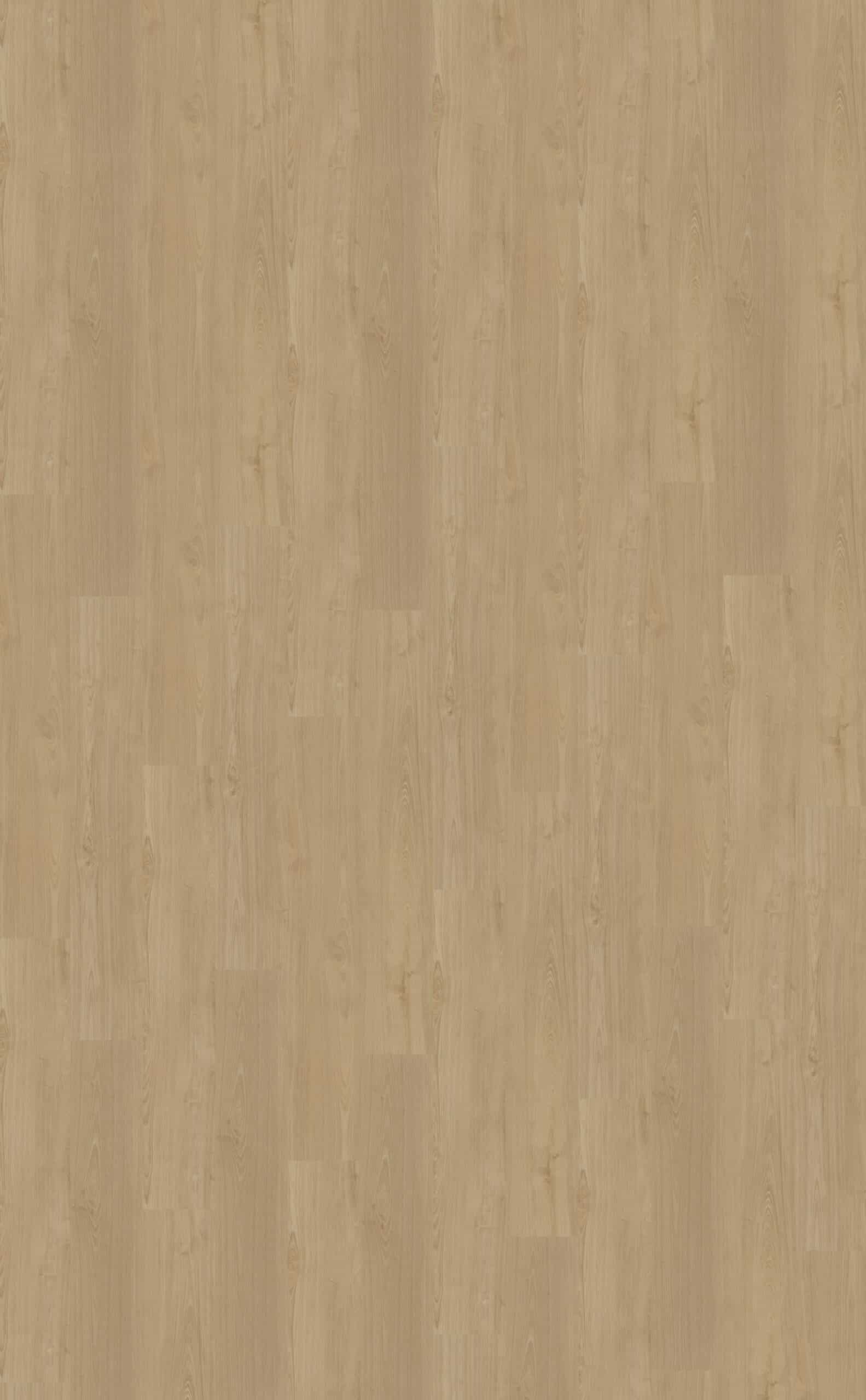 Belakos - Portico 560 Rigid Click