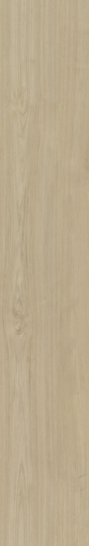 Belakos - Portico 570 Rigid Click