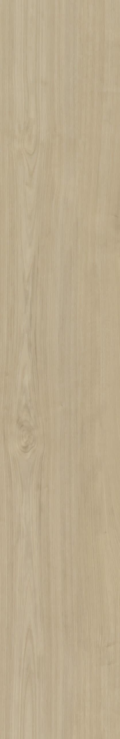 Belakos - Portico 570 Rigid Click