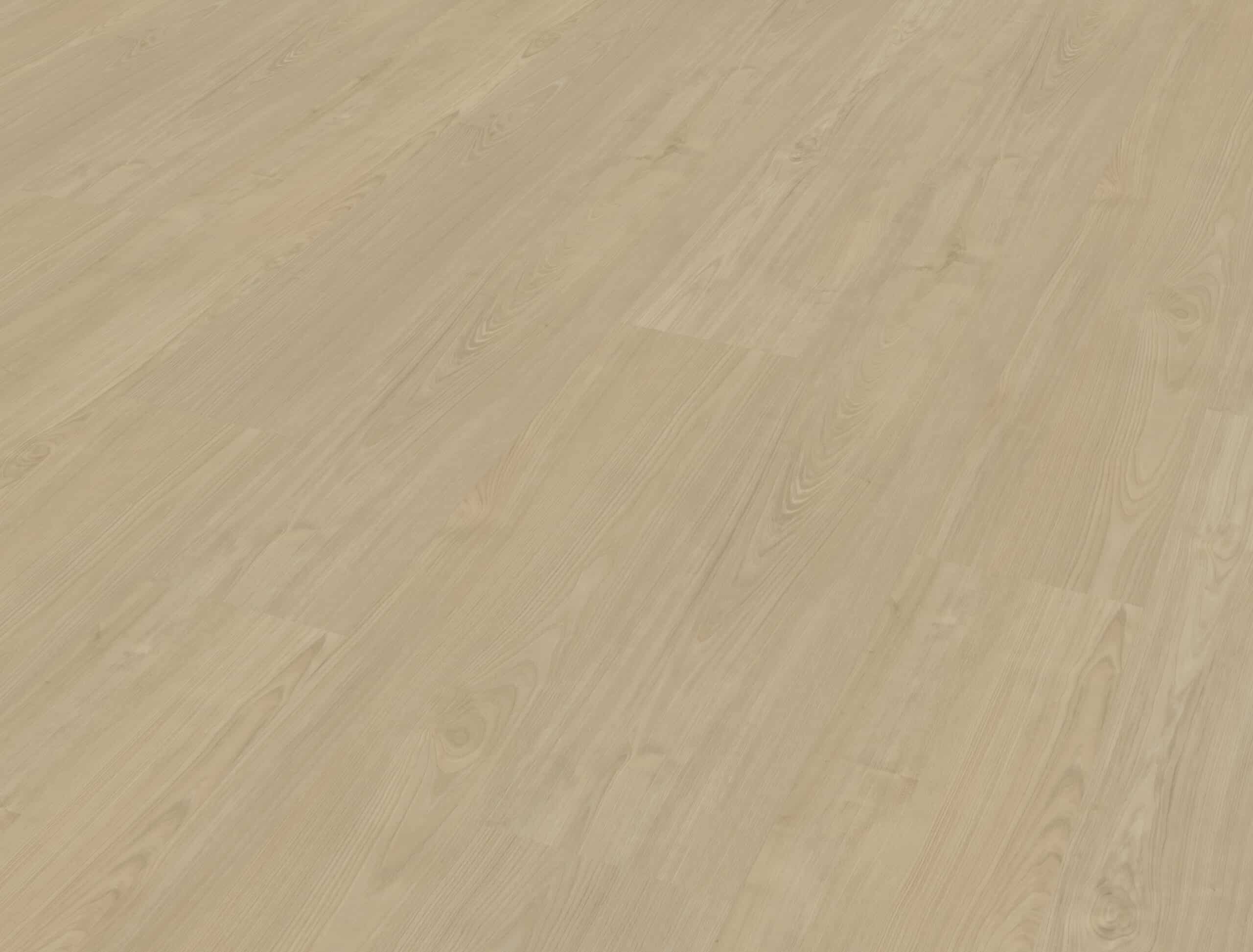 Belakos - Portico 570 Rigid Click