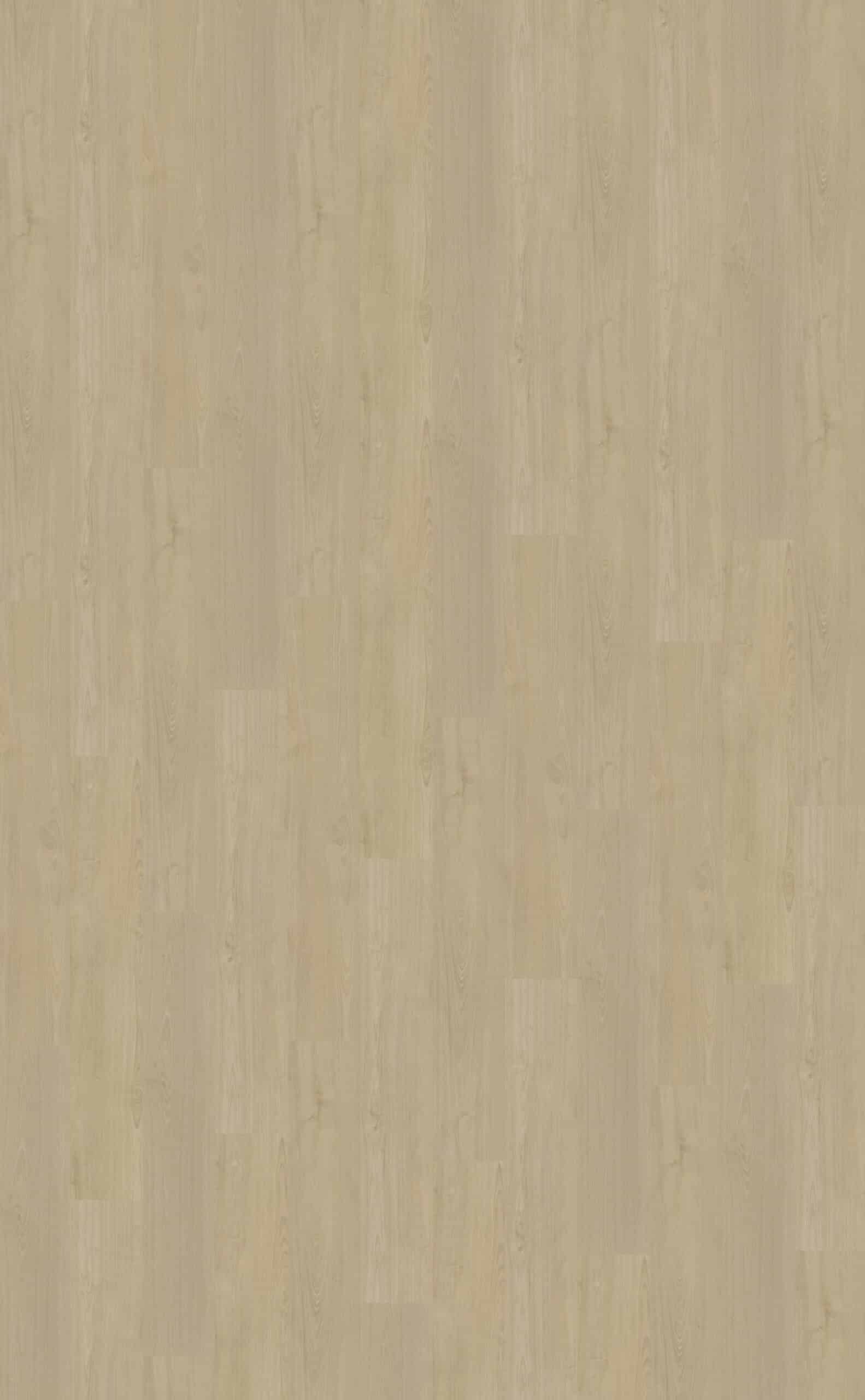 Belakos - Portico 570 Rigid Click