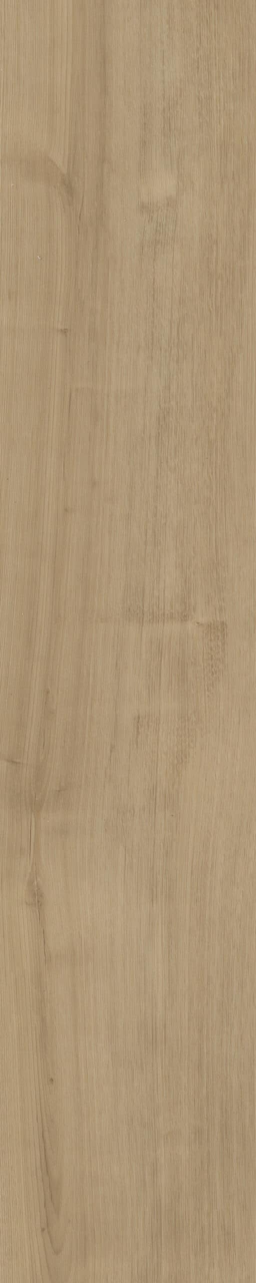 Belakos - Portico Visgraat XL 54