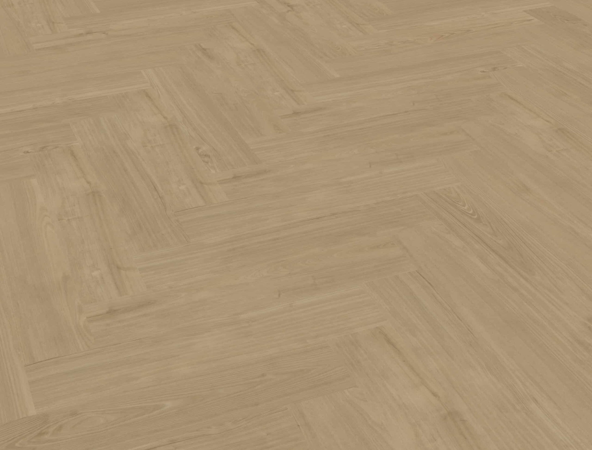 Belakos - Portico Visgraat XL 54