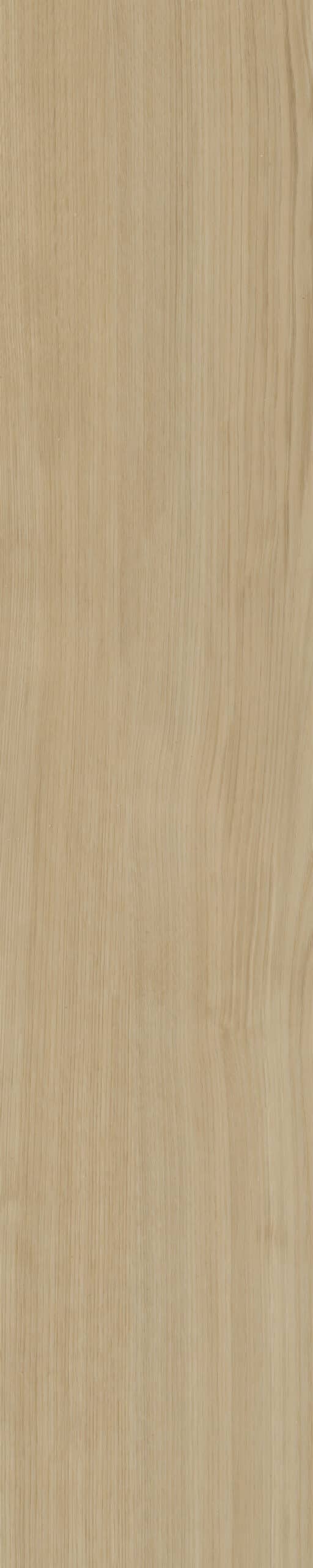 Belakos - Portico Visgraat XL 55