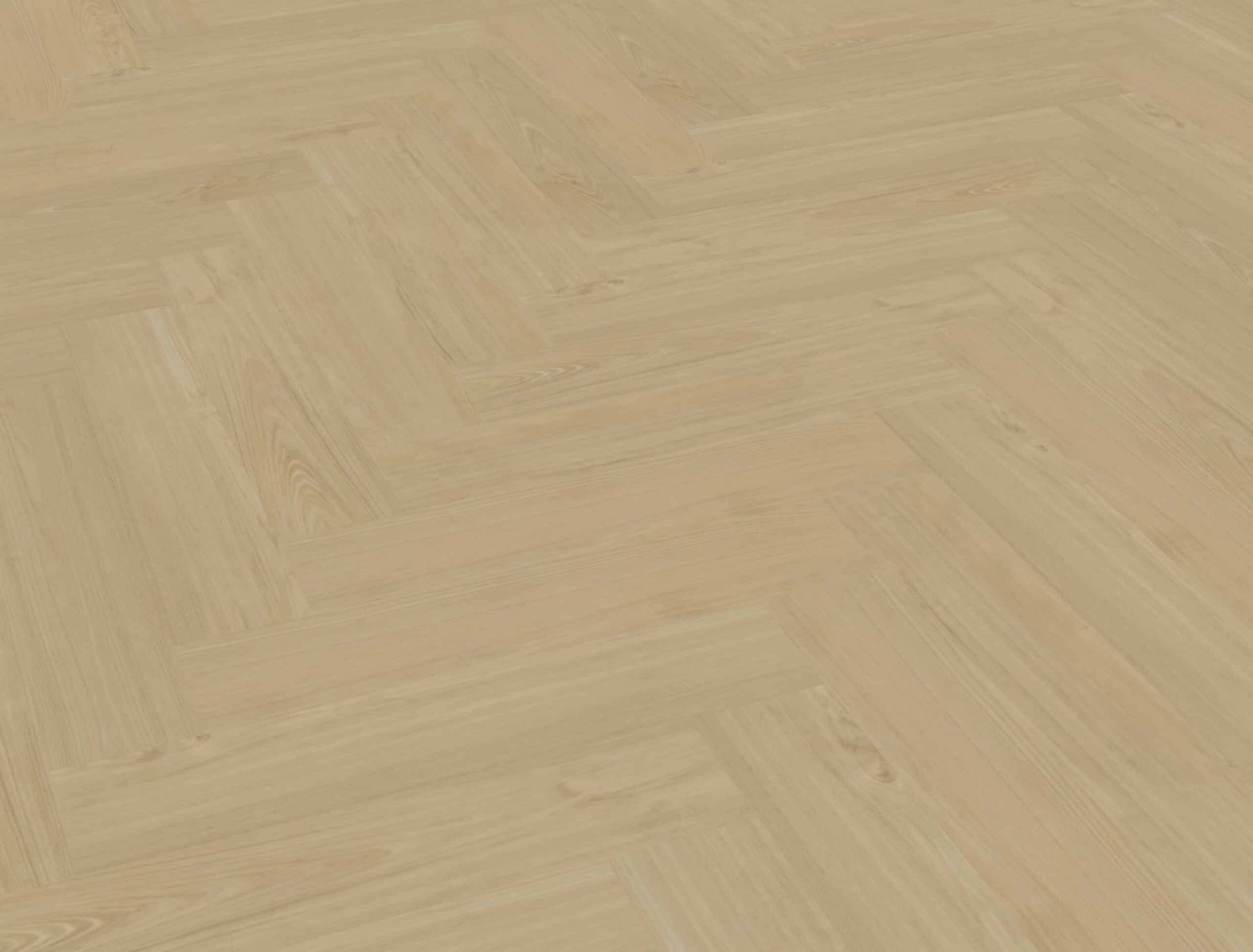 Belakos - Portico Visgraat XL 55