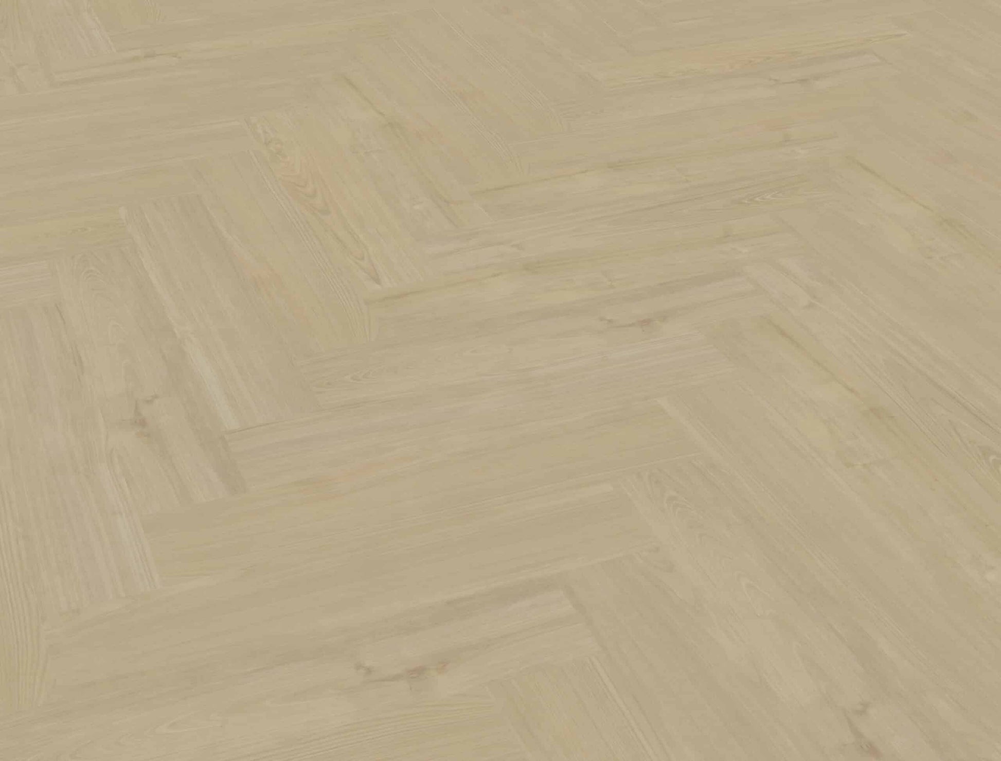 Belakos - Portico Visgraat XL 57