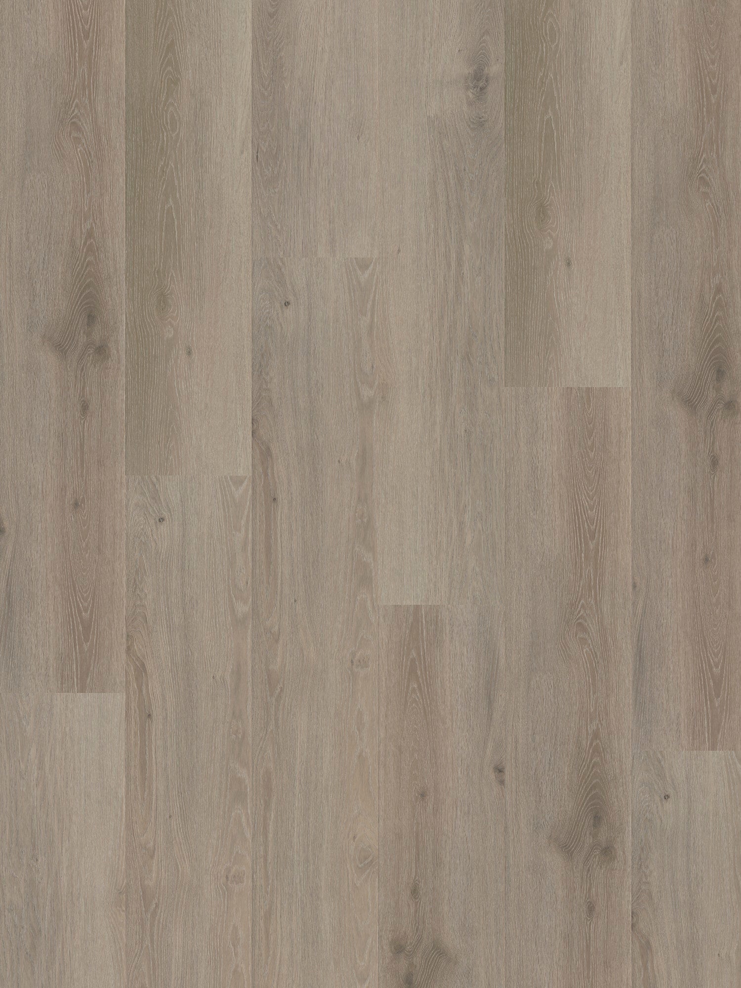 Belakos - Rustico 10