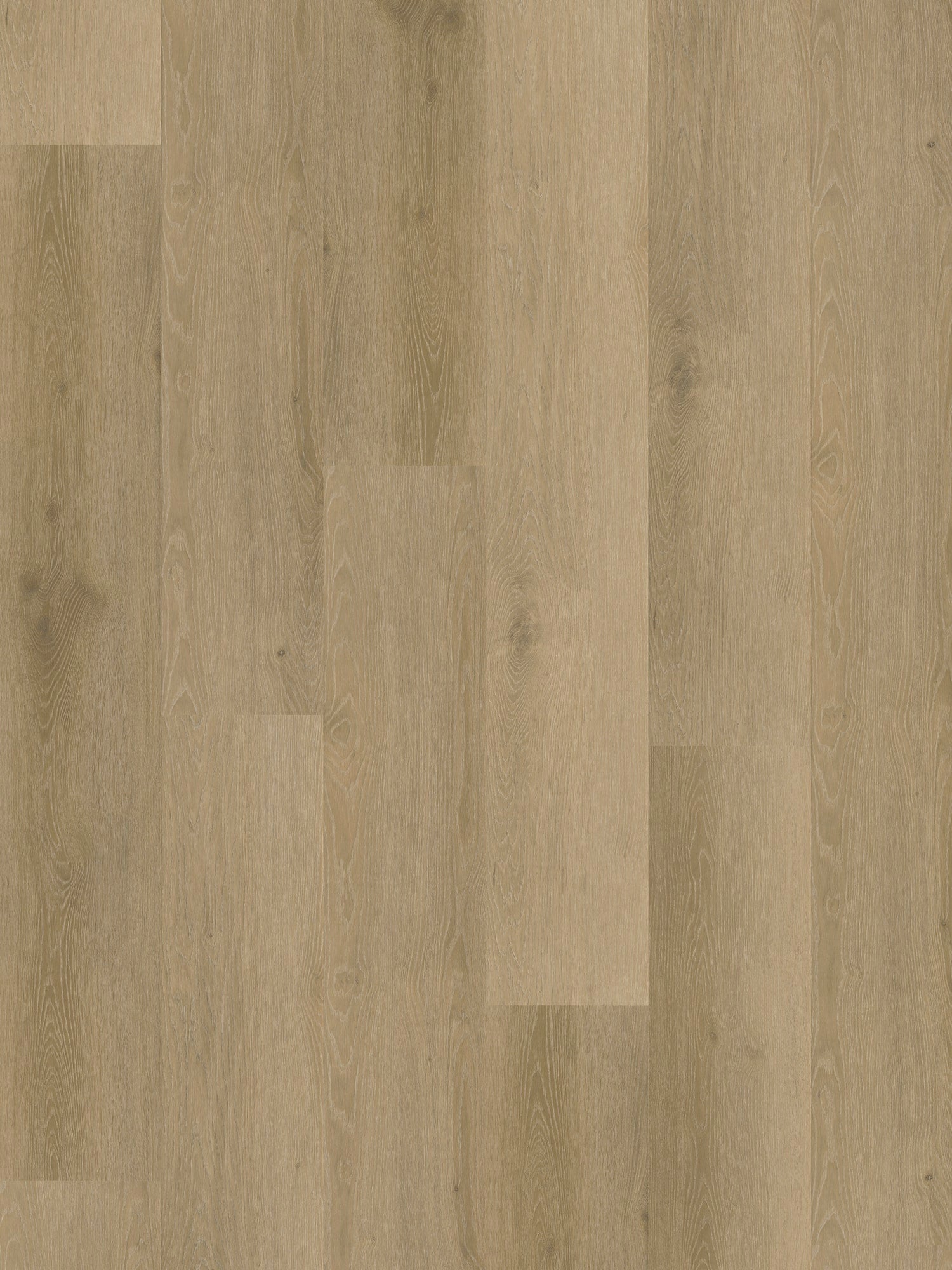 Belakos - Rustico 20