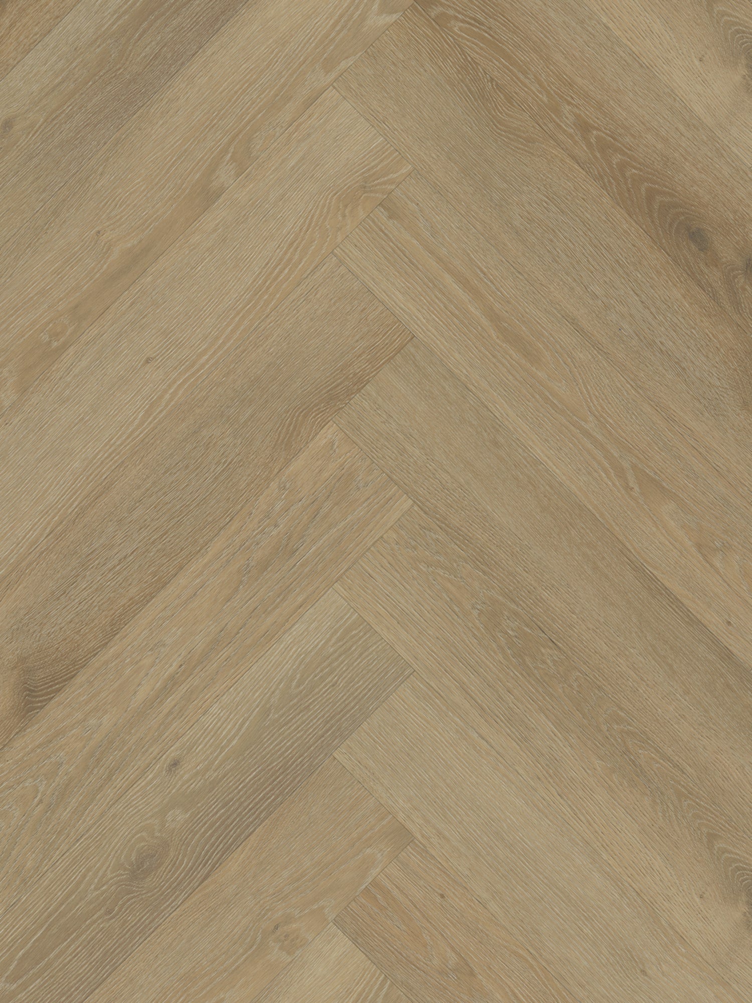 Belakos - Rustico visgraat 20