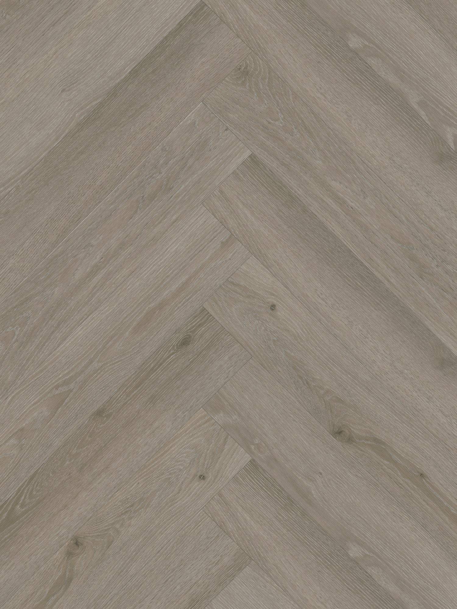 Belakos - Rustico visgraat 40