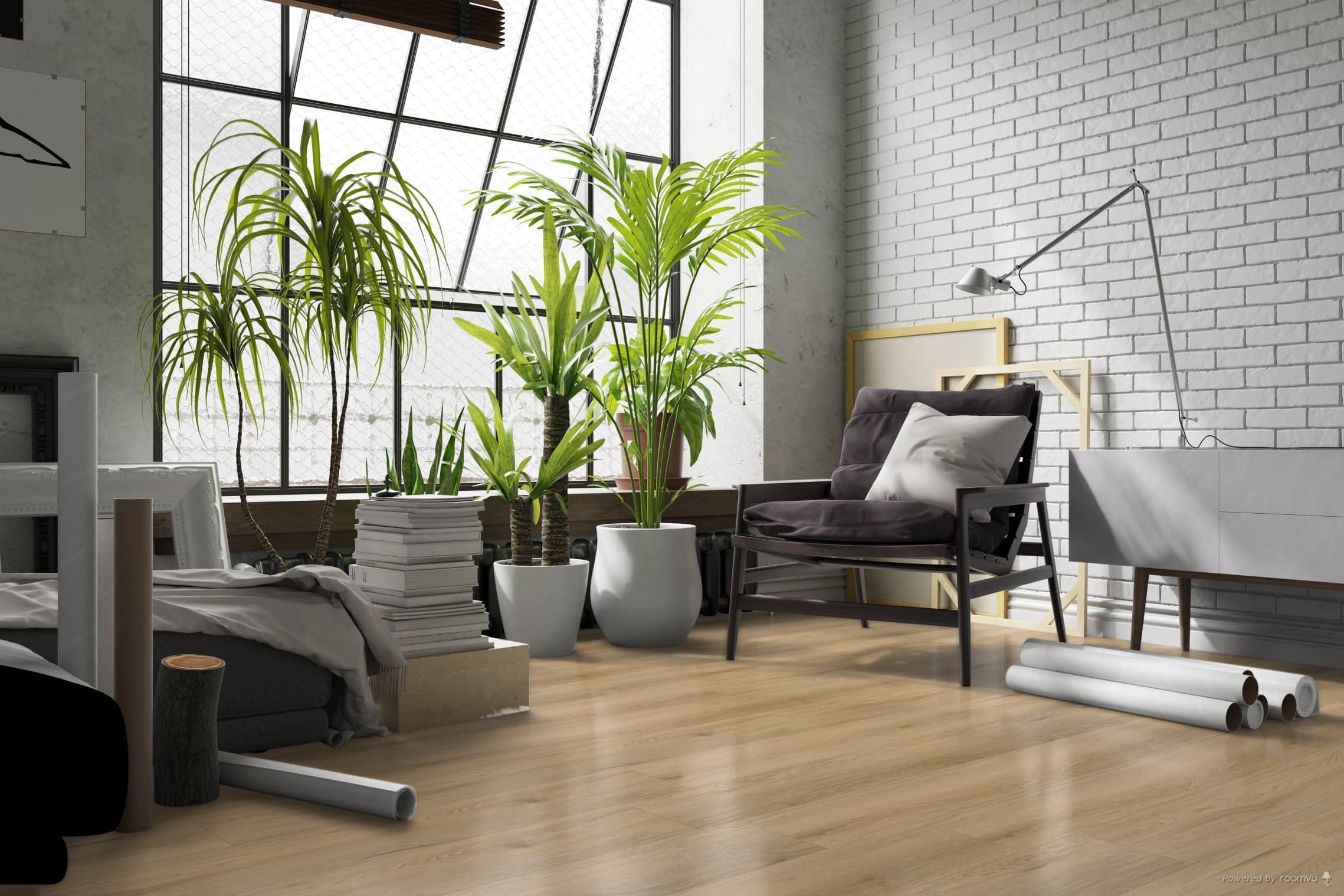 Hoomline - Ambassador Dryback Washington 62