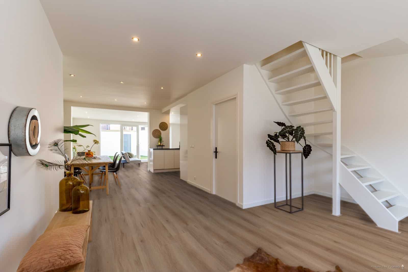 Hoomline - Ambassador Dryback Kansas 59