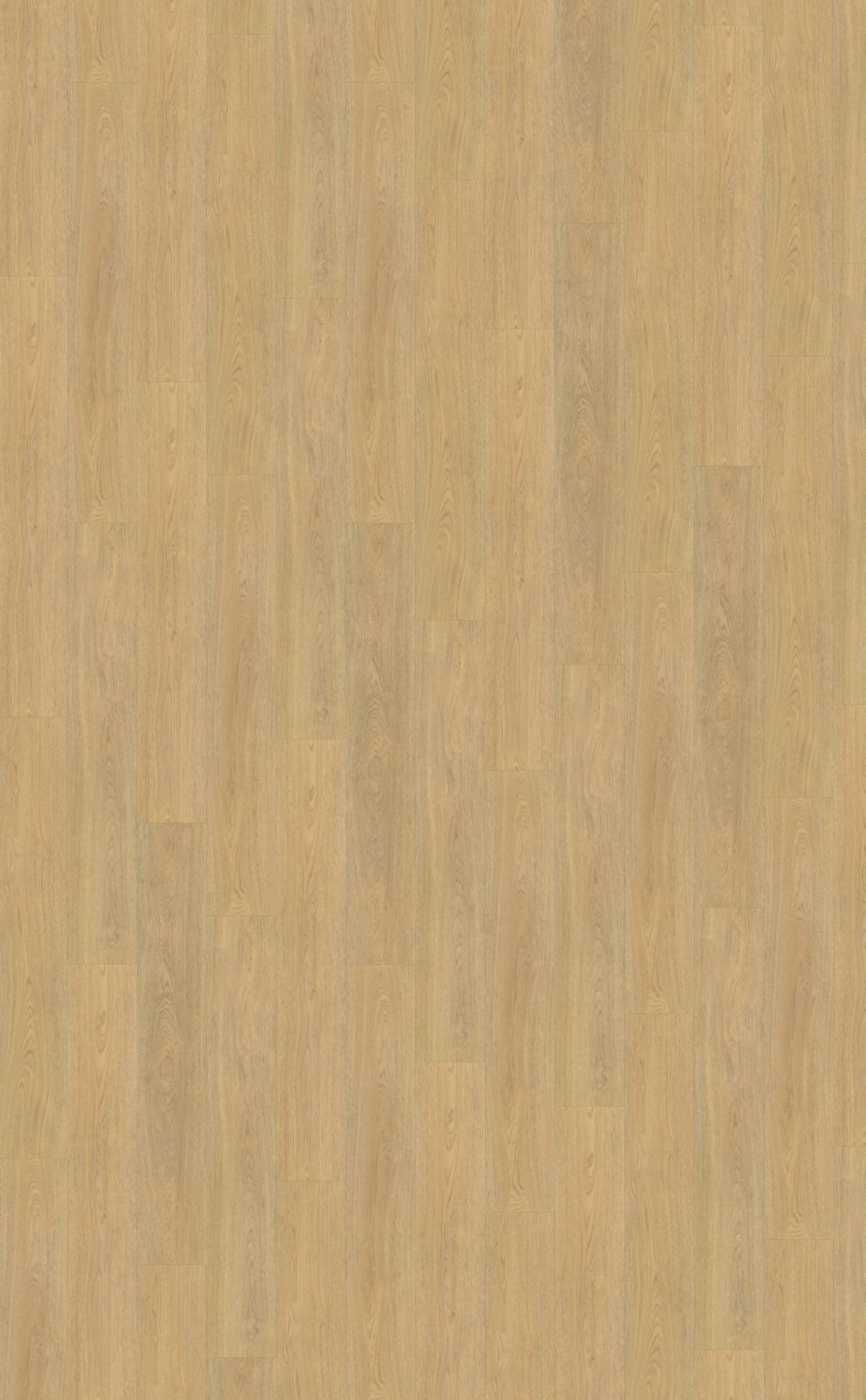 Belakos - Terreno 610 | Rigid Click