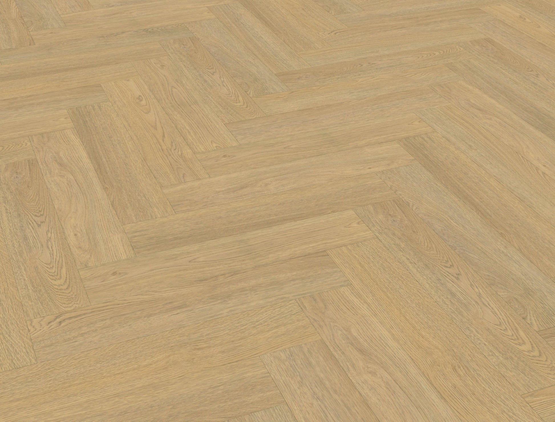 Belakos - Terreno visgraat XL 61 | Rigid Click