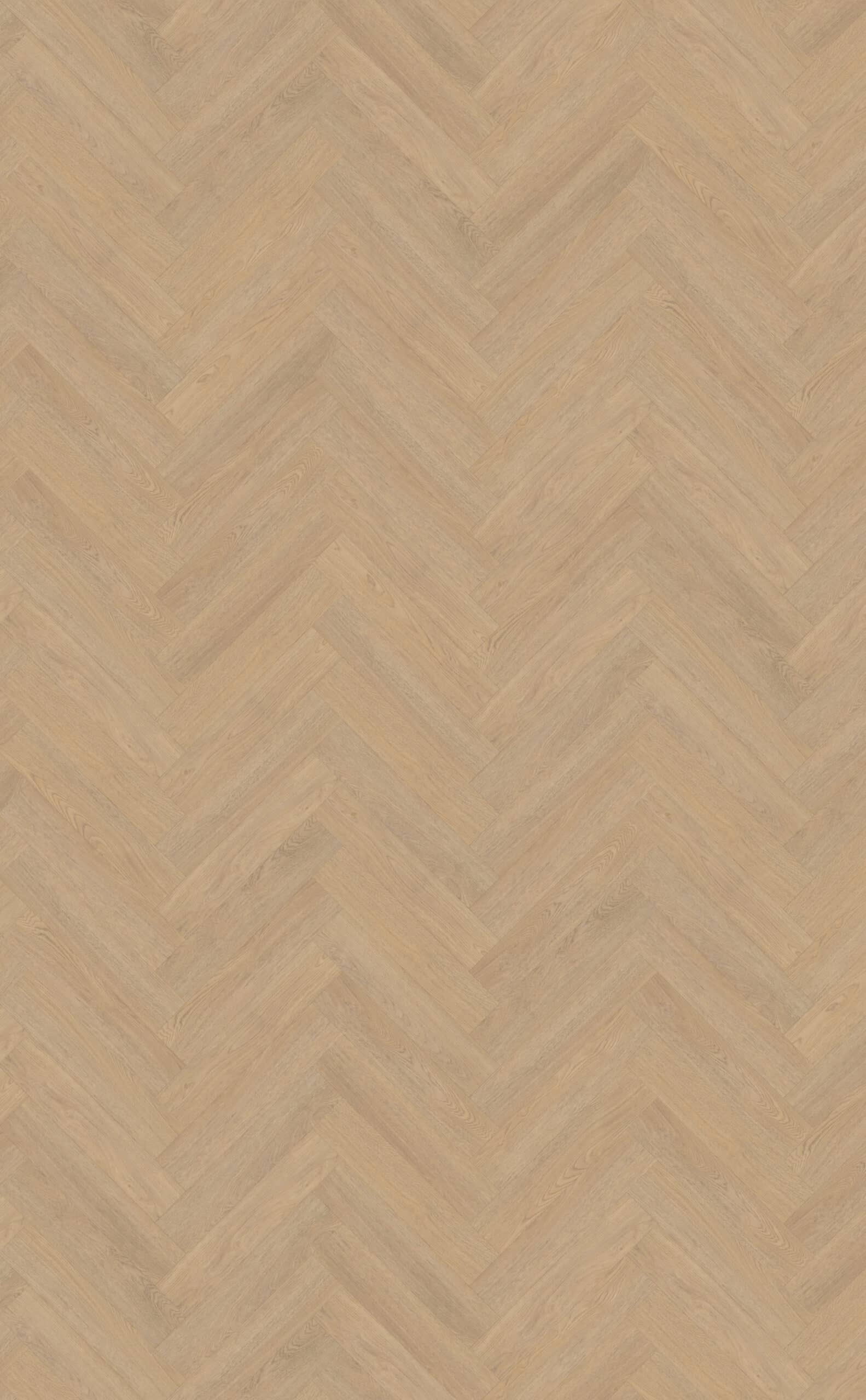 Belakos - Terreno visgraat XL 61