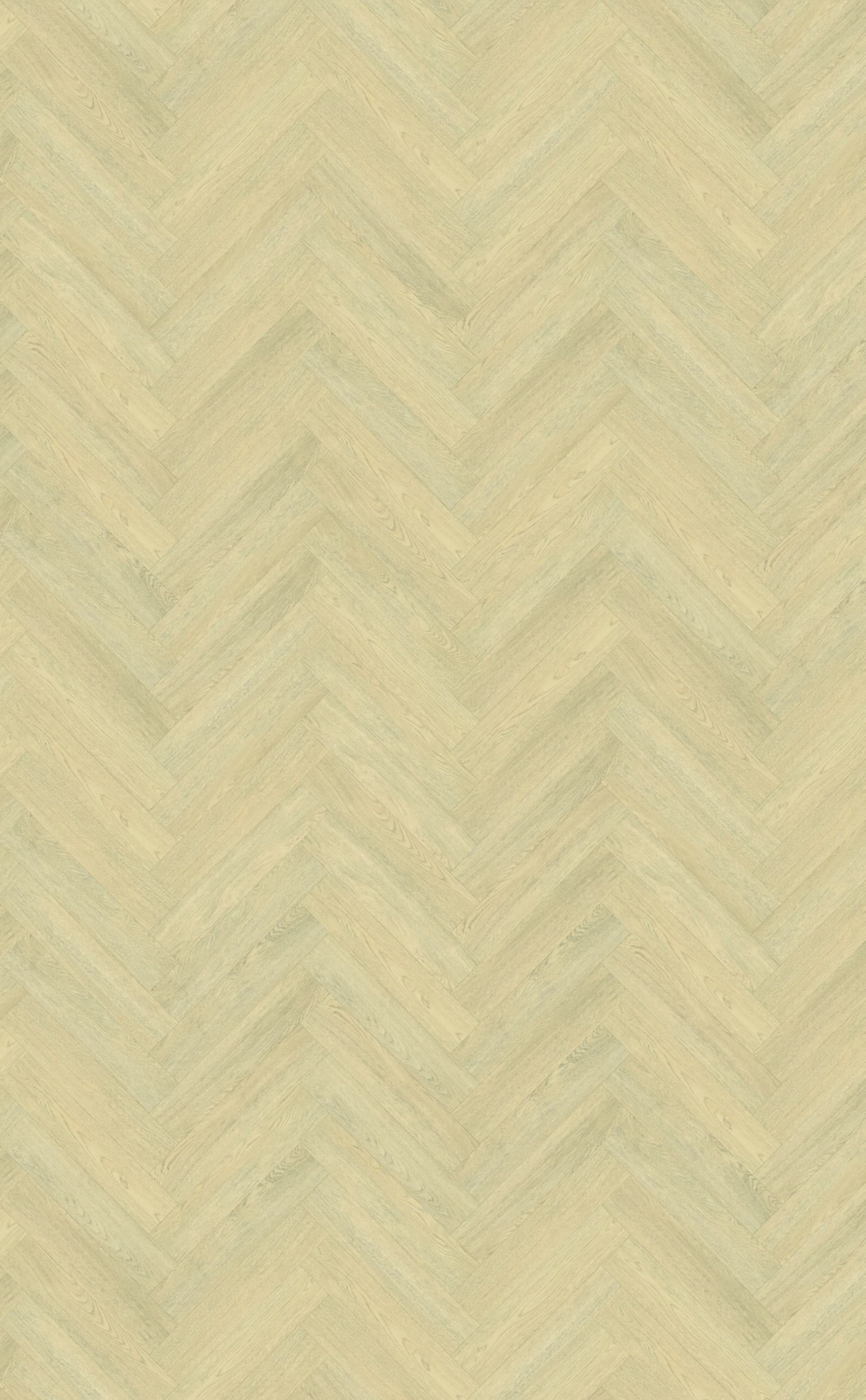 Belakos - Terreno visgraat XL 62 | Rigid Click