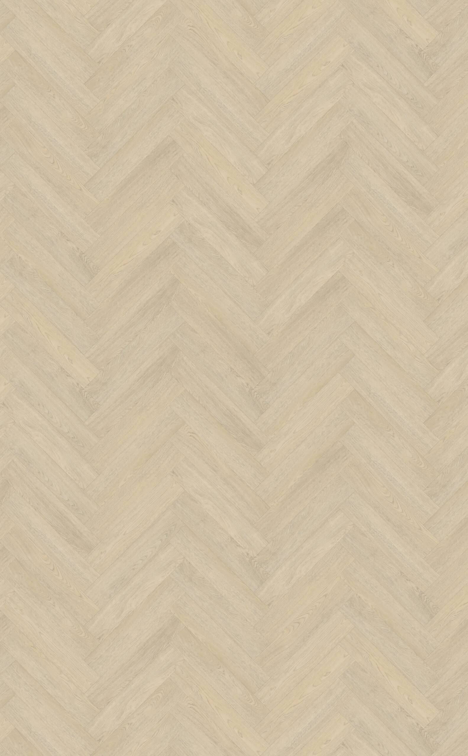 Belakos - Terreno visgraat XL 62